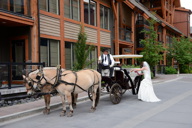 Alpine Peak Photography: Canmore Wedding Photographer - Sarah & Michael ...
