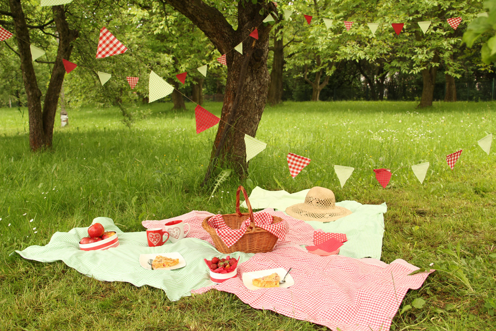 Сегодня праздник души пикник. Пикник в Корее. Сегодня праздник сердца и души пикник. Поделка на тему лето, отдых и пикник для школьников.
