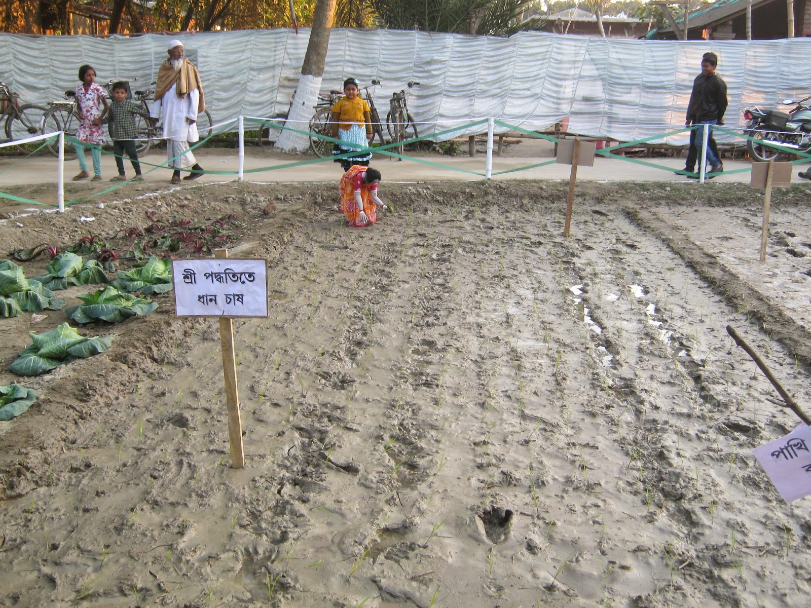 Krishi Mela 2015