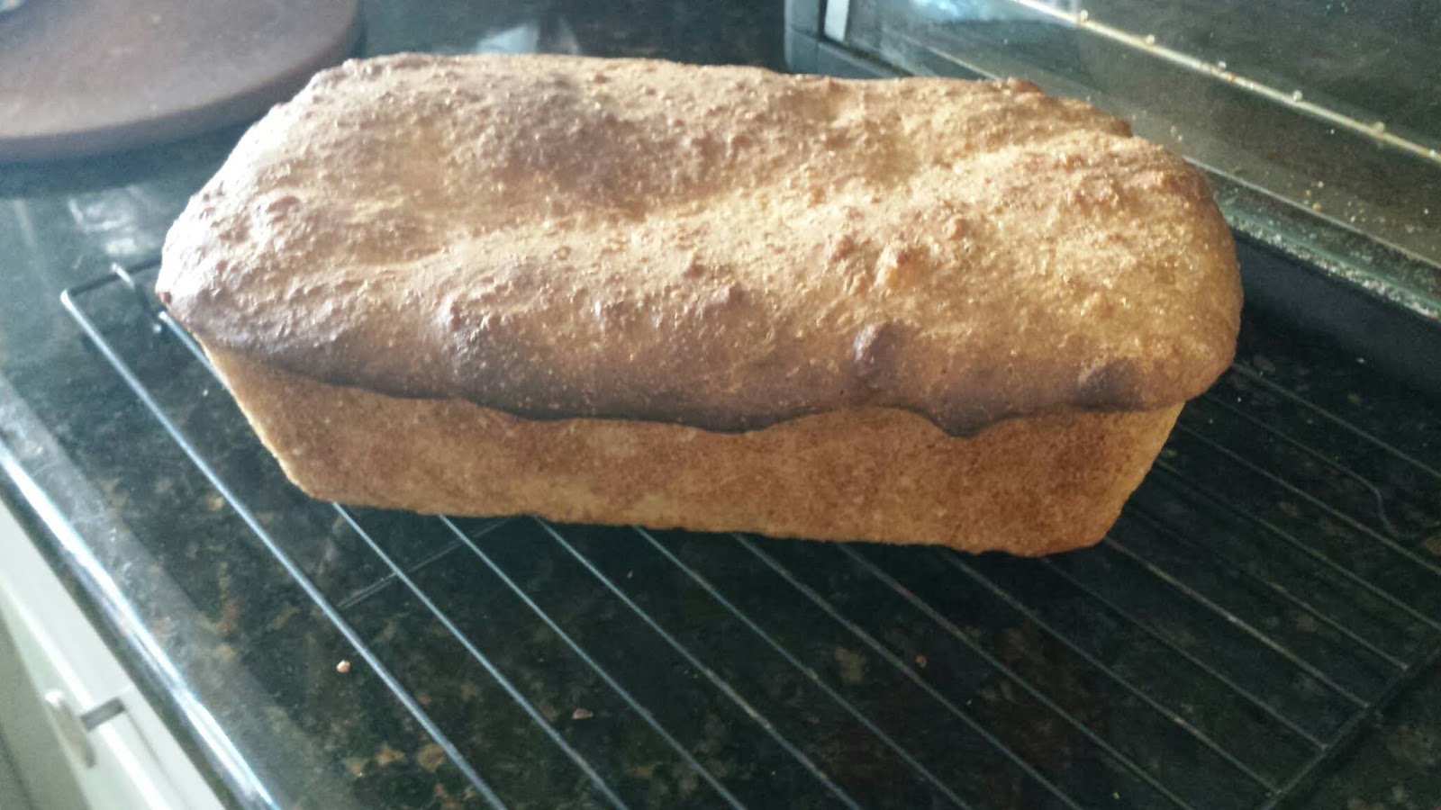 Judy's Gross Eats Multigrain Sourdough Sandwich Bread (in theory)