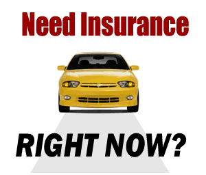 Best California Auto Insurance