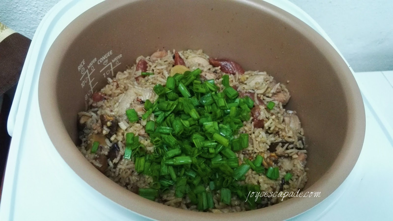 Rice Cooker Version "Claypot" Chicken Rice Joy 'N' Escapade