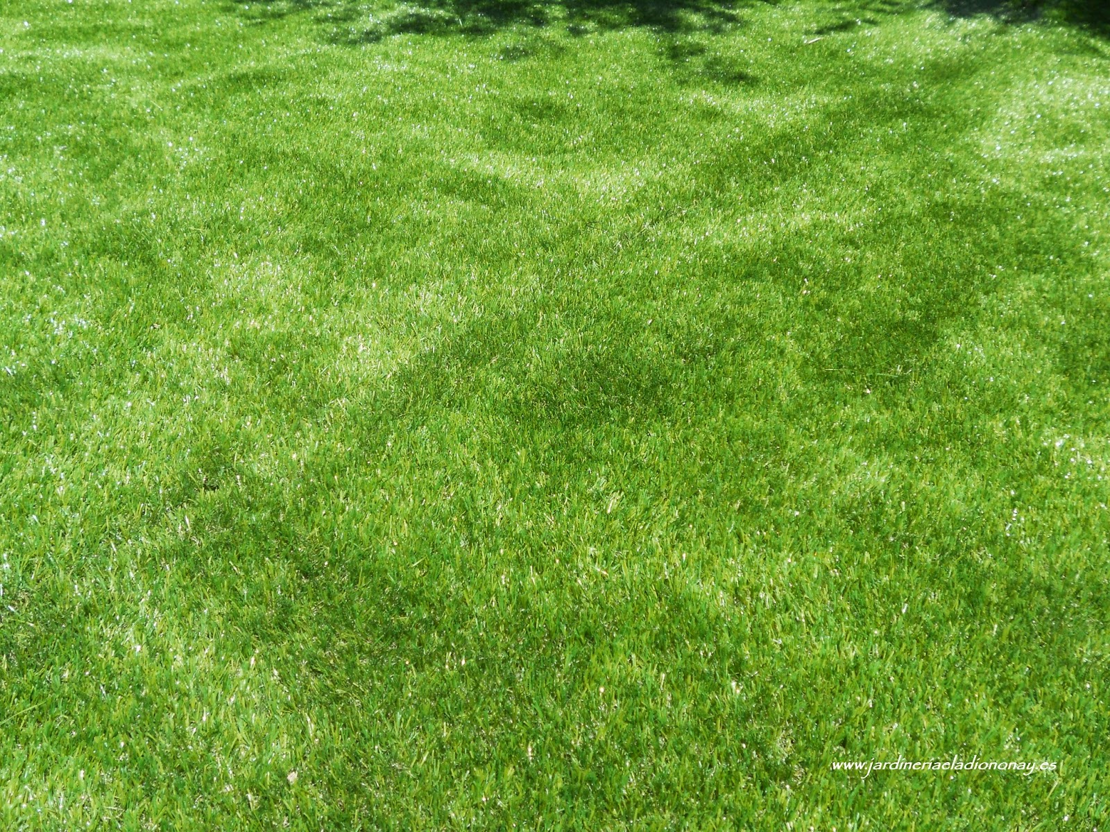 Jardineria Eladio Nonay: COMO INSTALAR CÉSPED ARTIFICIAL (Jardinería