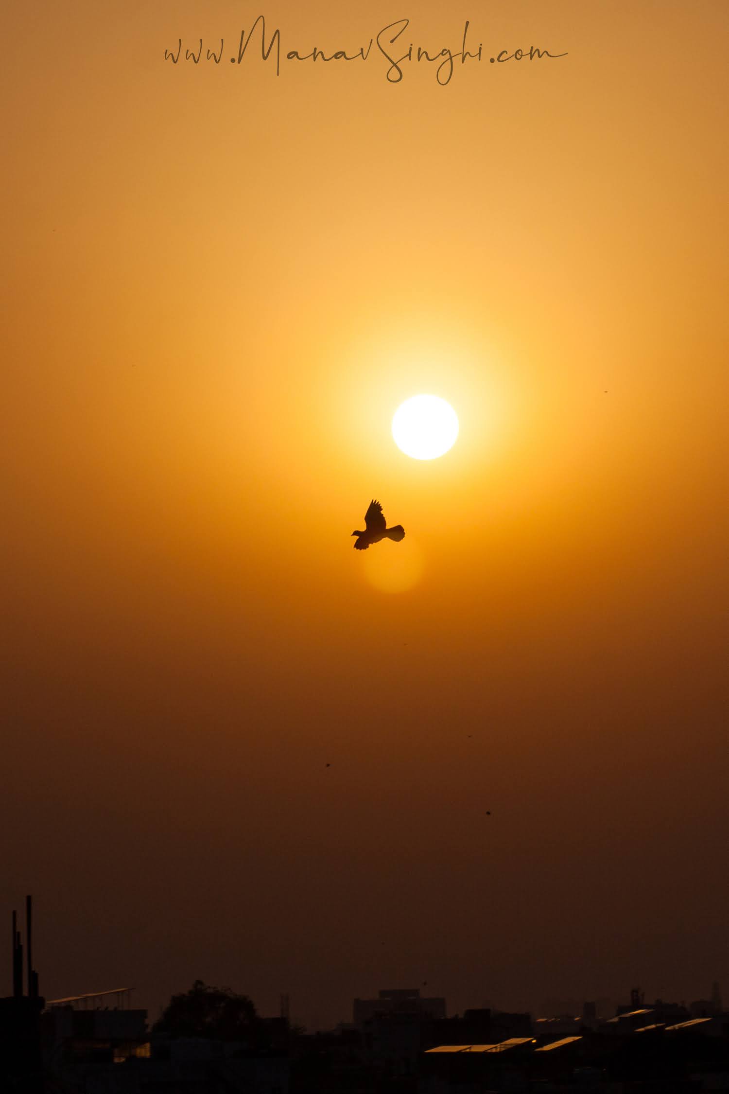Shots around Sunset taken from my terrace, Jaipur.