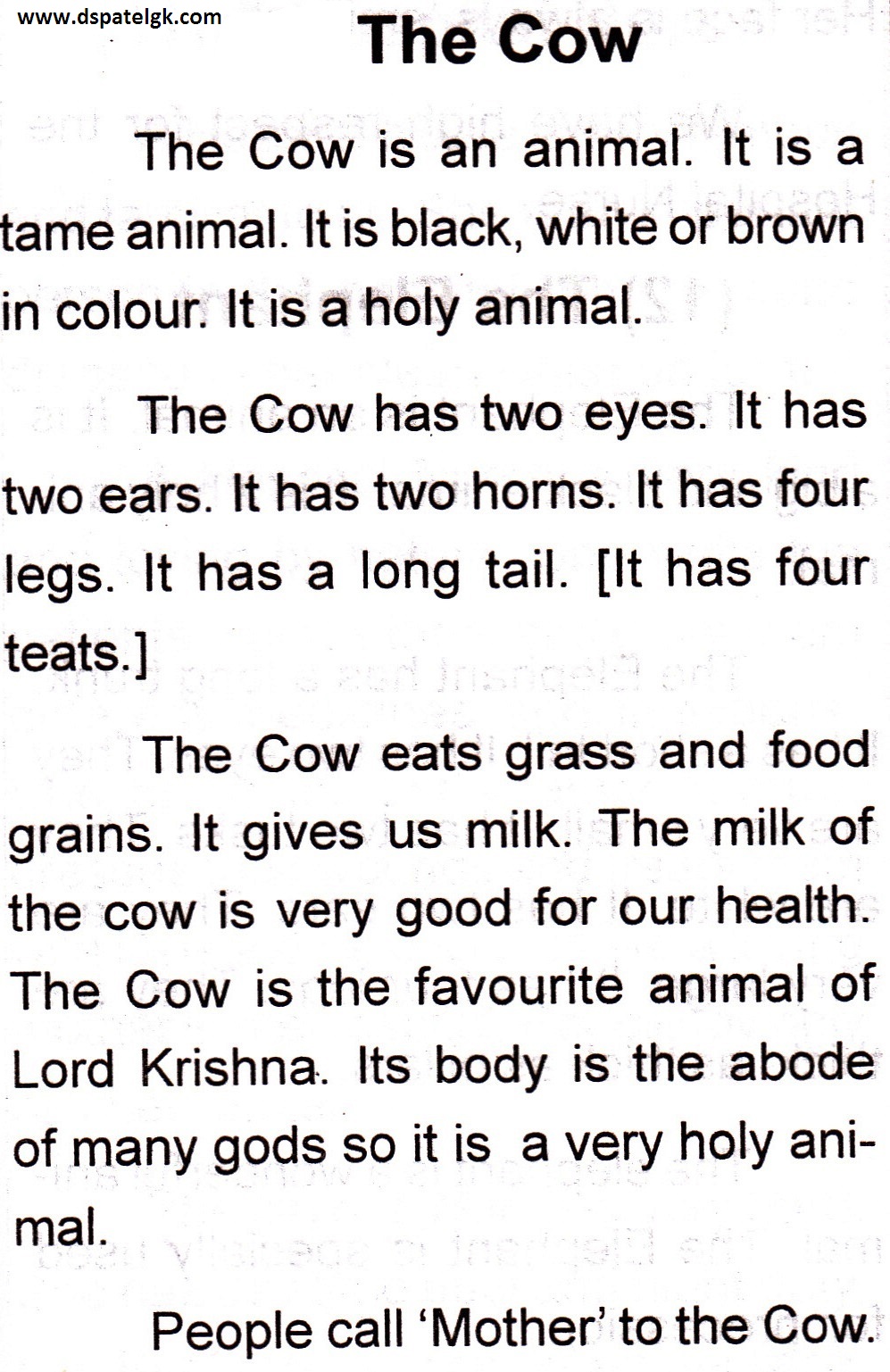 the cow essay in english class 6