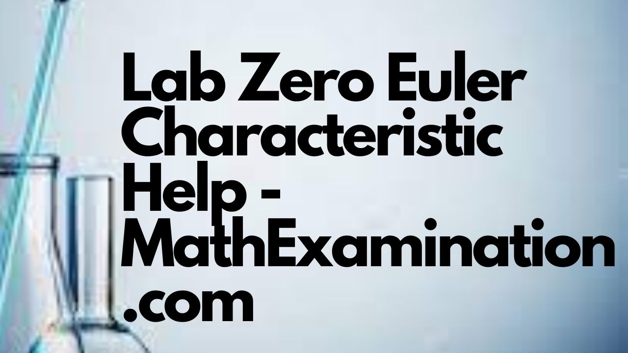 Lab Suspension Functor