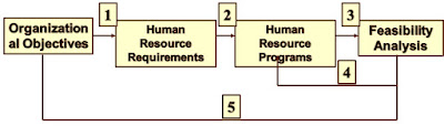 Example of the Basic Human Resources Planning Model