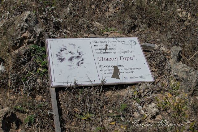 Луис рикардо фалеро шабаш ведьм. Где находится лысая гора для шабаша ведьм. Как на лысой горе. Лысая гора шабаш ведьм. Ночь на лысой горе мусоргский.