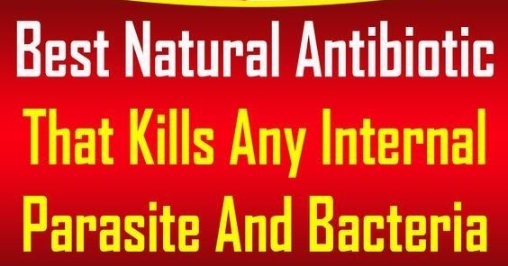 antibiotic for parasite infection antibiotic for parasite infection