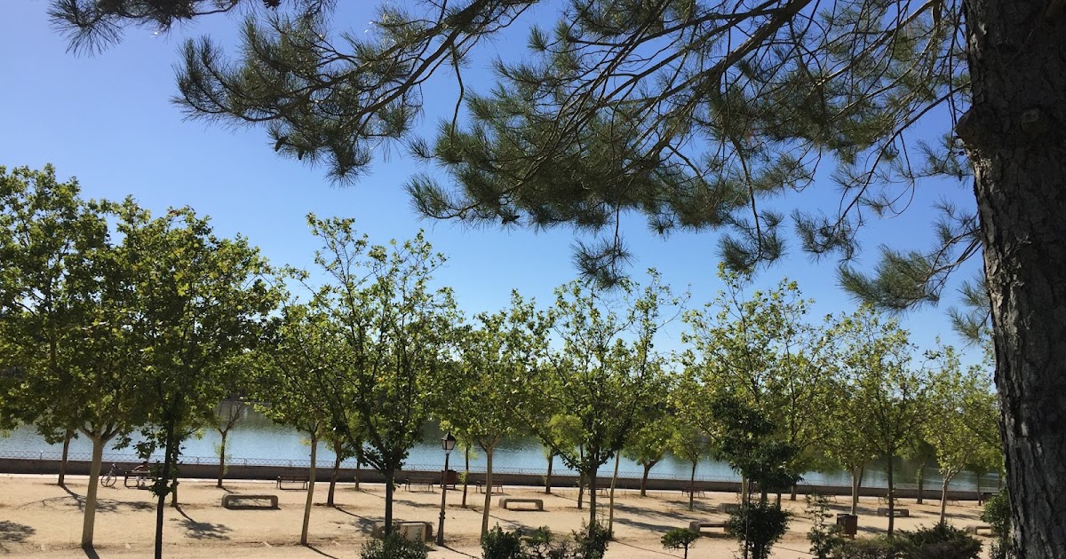 Foto%2b7-8-16%2b18%2b33%2b11