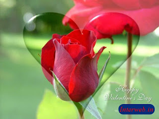 दिल के फोटो, गुलाब का फूल फोटो डाउनलोड, गुलाब का फूल डाउनलोड, गुलाब शायरी, कमल के फूल, फूल गुलाब, गुलाब फूल की खेती, गुलाब के फूल के उपयोग