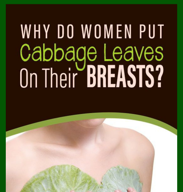 Women are putting Cabbage leaves on their breast, reason behind it will