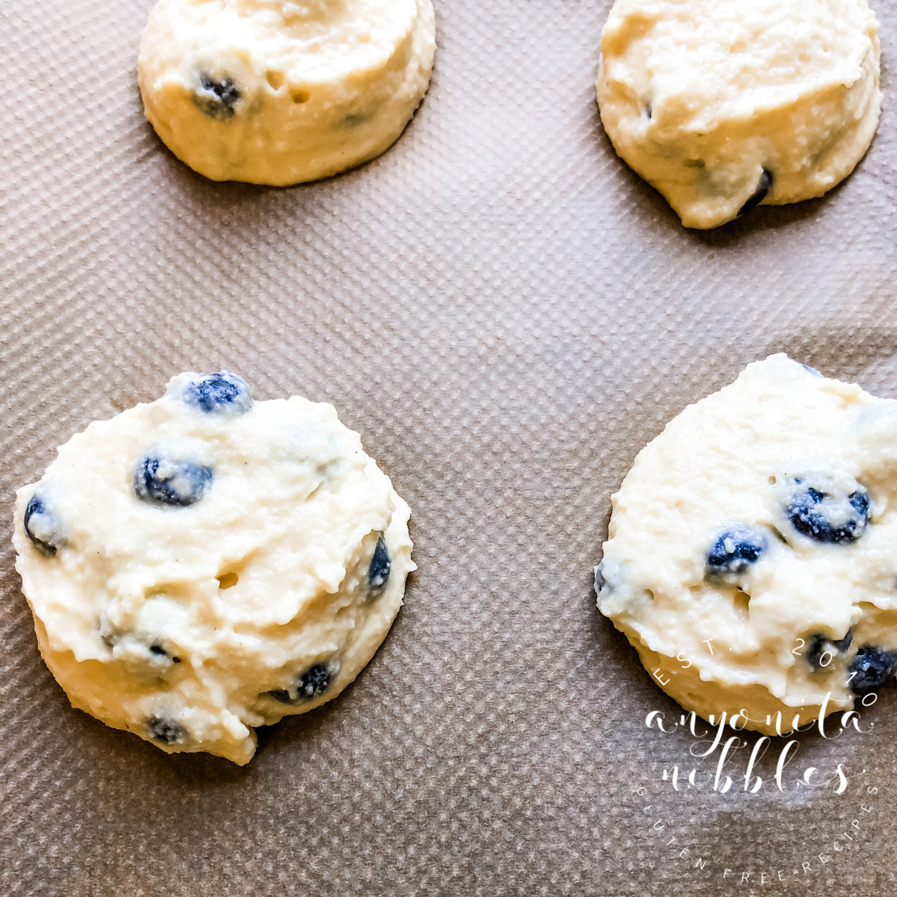 Anyonita Nibbles GlutenFree Recipes GlutenFree Copycat Boberry