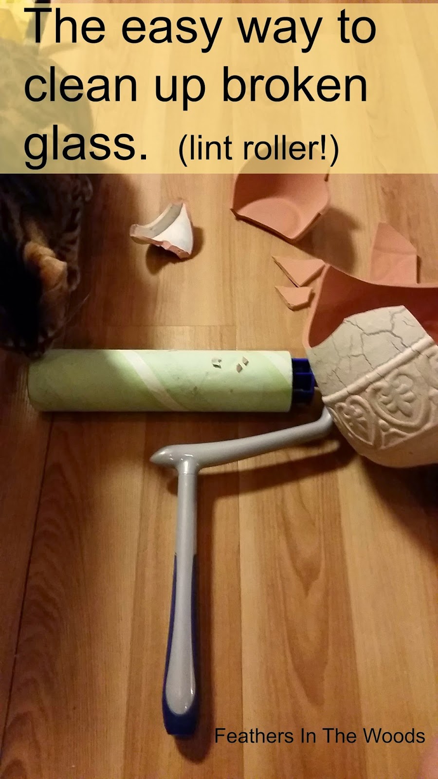How to clean up broken glass....use a lint roller! Feathers in the woods