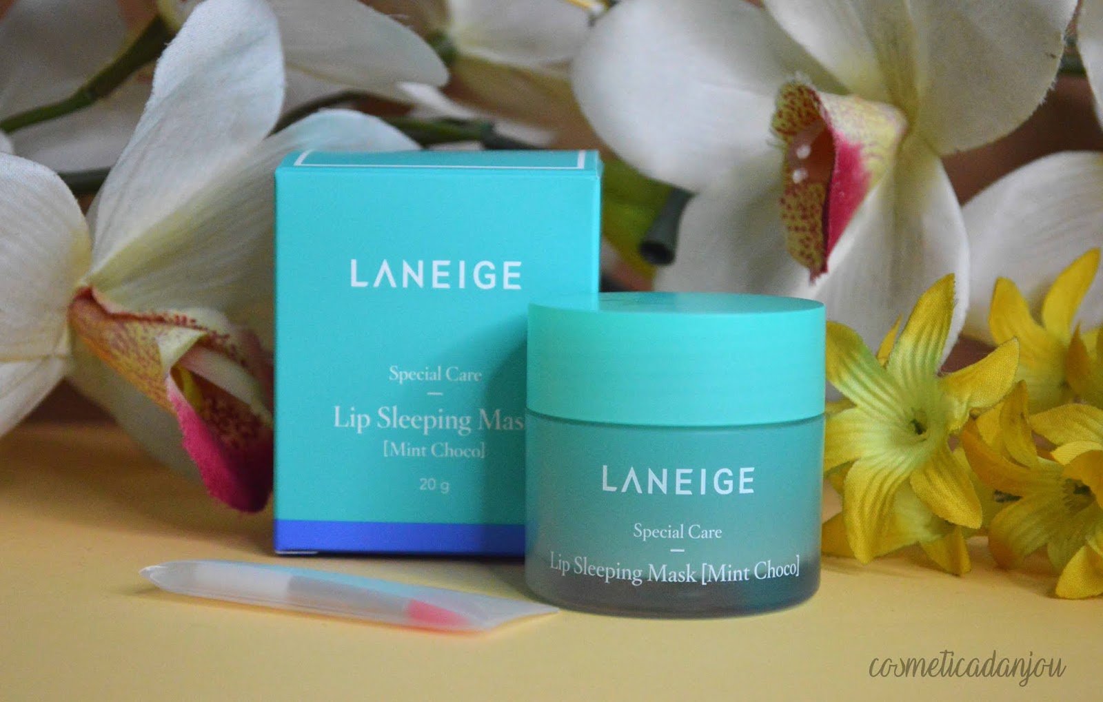 LANEIGE Lip Sleeping Mask MintChoco Review Cosmética d Anjou