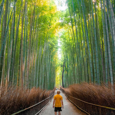 10 Tempat Wisata di Jepang Terpopuler 10 Tempat Wisata di Jepang Terpopuler