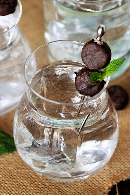 Chocolate Mint Cocktail with Peppermint Pattie Garnish Image