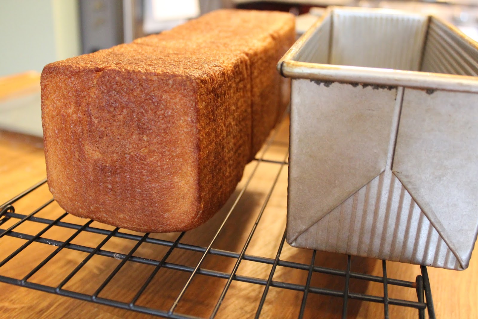 More Than Bread: 100% Whole Wheat/Grain Sandwich Bread 全麥/穀麵包