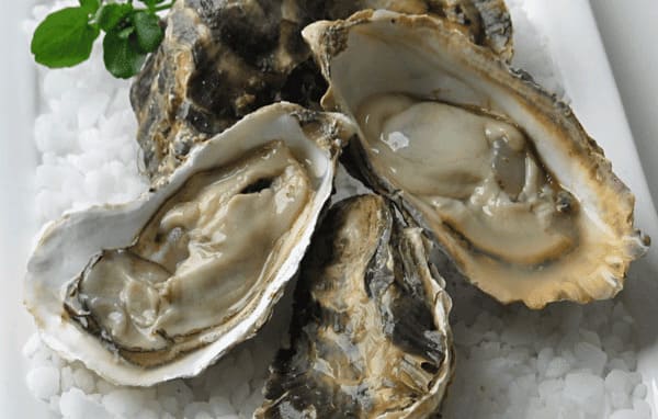 Oysters-Health-Benefits