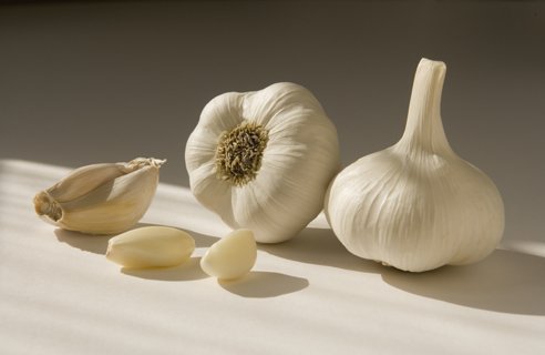 معلومات تهمك مطبخك garlic_gallery--gt_f