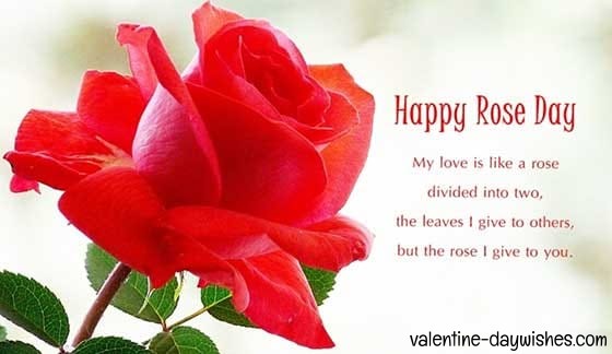 Rose day Images 2020 Rose day Images 2020