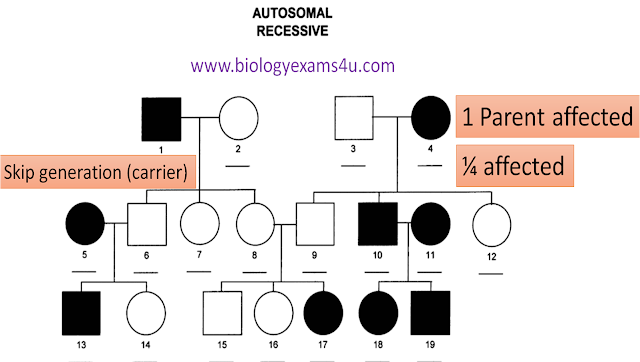 Pedigree Analysis meaning, Inheritance Pattern and Problem Solving tips