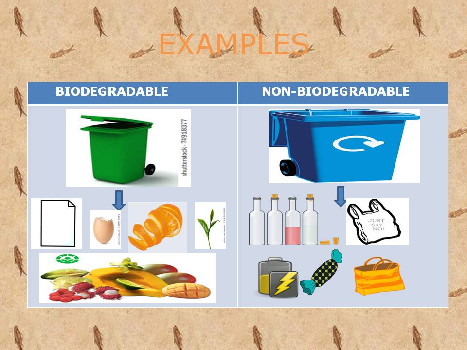 Biodegradable And Non Biodegradable Diagrams