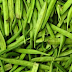 How to cultivate guar कैसे करें ग्वार की खेती