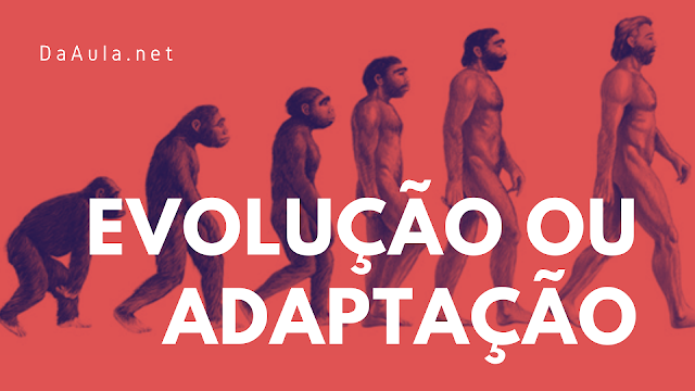 História: Evolução ou adaptação: O homem veio do macaco? 