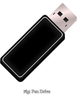 Pen drive Memory Device