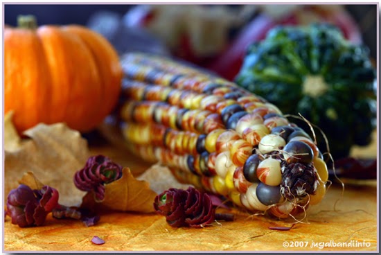 Jagung Warna-warni!!! | Berita Gempak Terkini