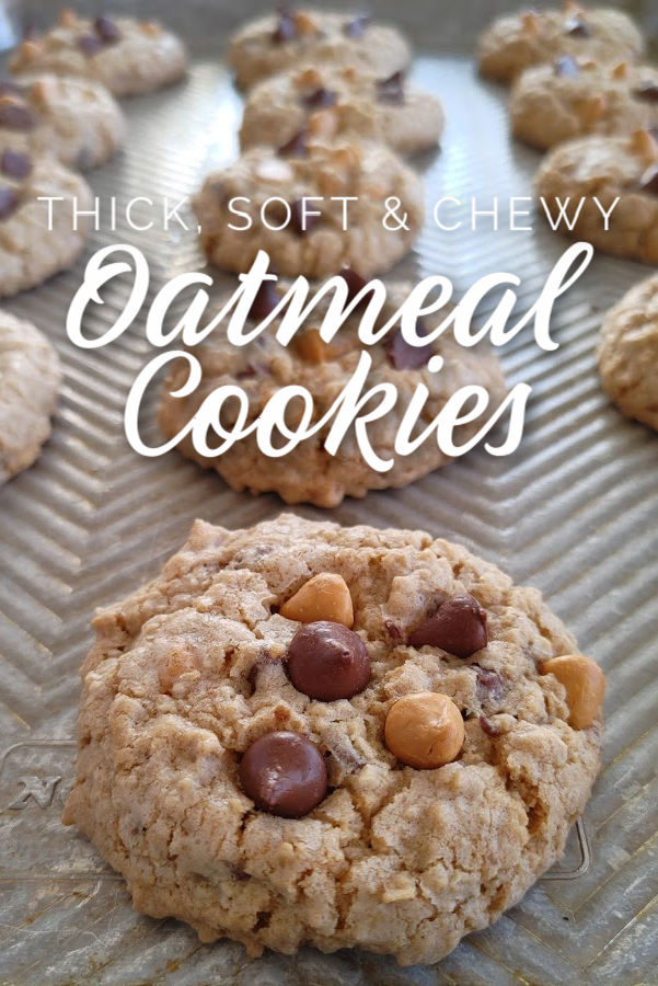 South Your Mouth Thick, Soft & Chewy Oatmeal Cookies