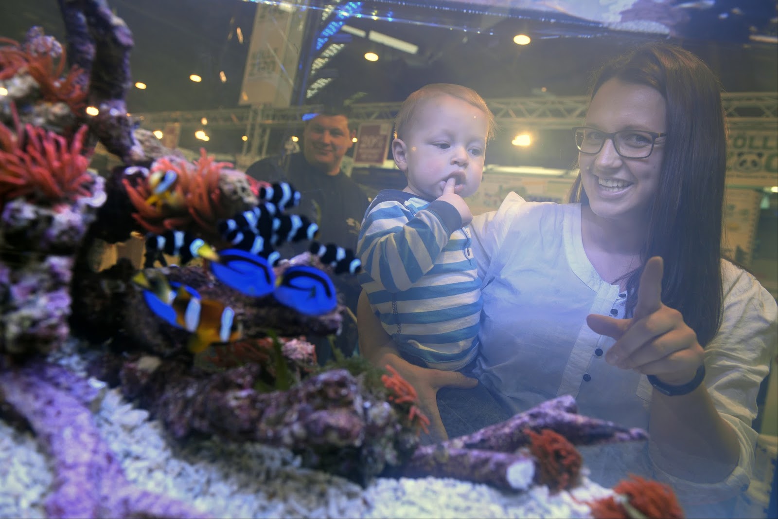 Dm0y Ham Radio Friedrichshafen 2017 1