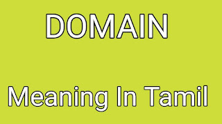 Domain meaning in Tamil