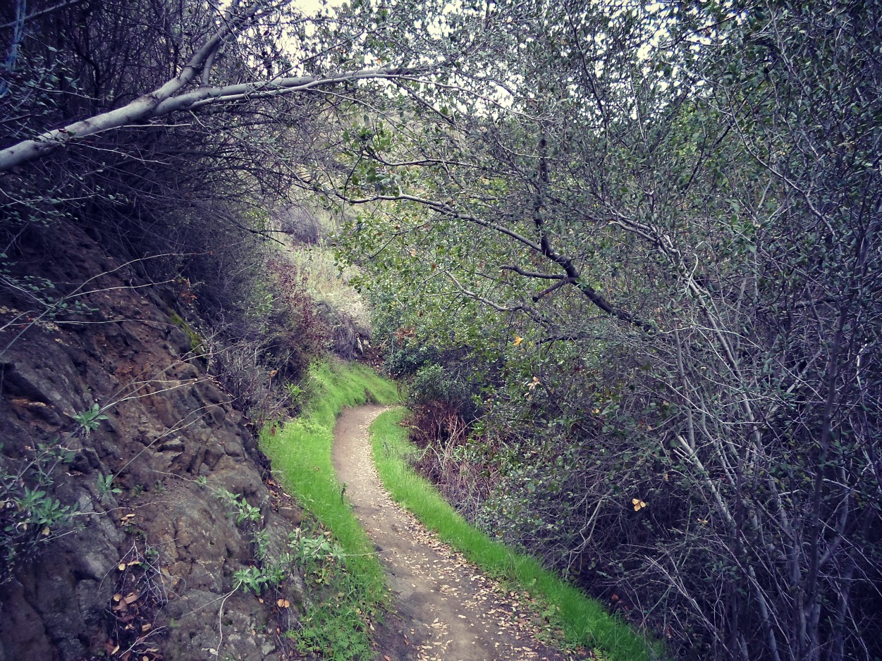 Wild Photography La Tuna Canyon