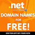 Dot Net Domain For Free Bigrock