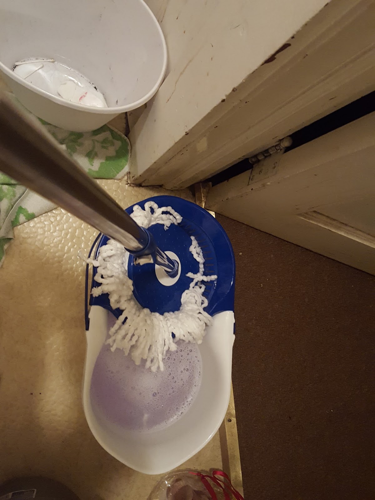 Heck Of A Bunch Clorox Spin Dry Mop Review