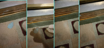 Paint Stains On carpet