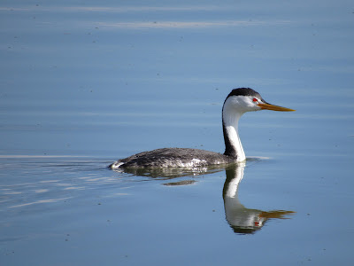 Tule Lake National Wildlife Refuge