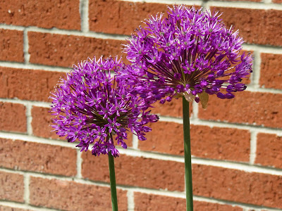 Photo of Family Getaway - The Dow Gardens, Midland 14/17 by Saakshi Kumar