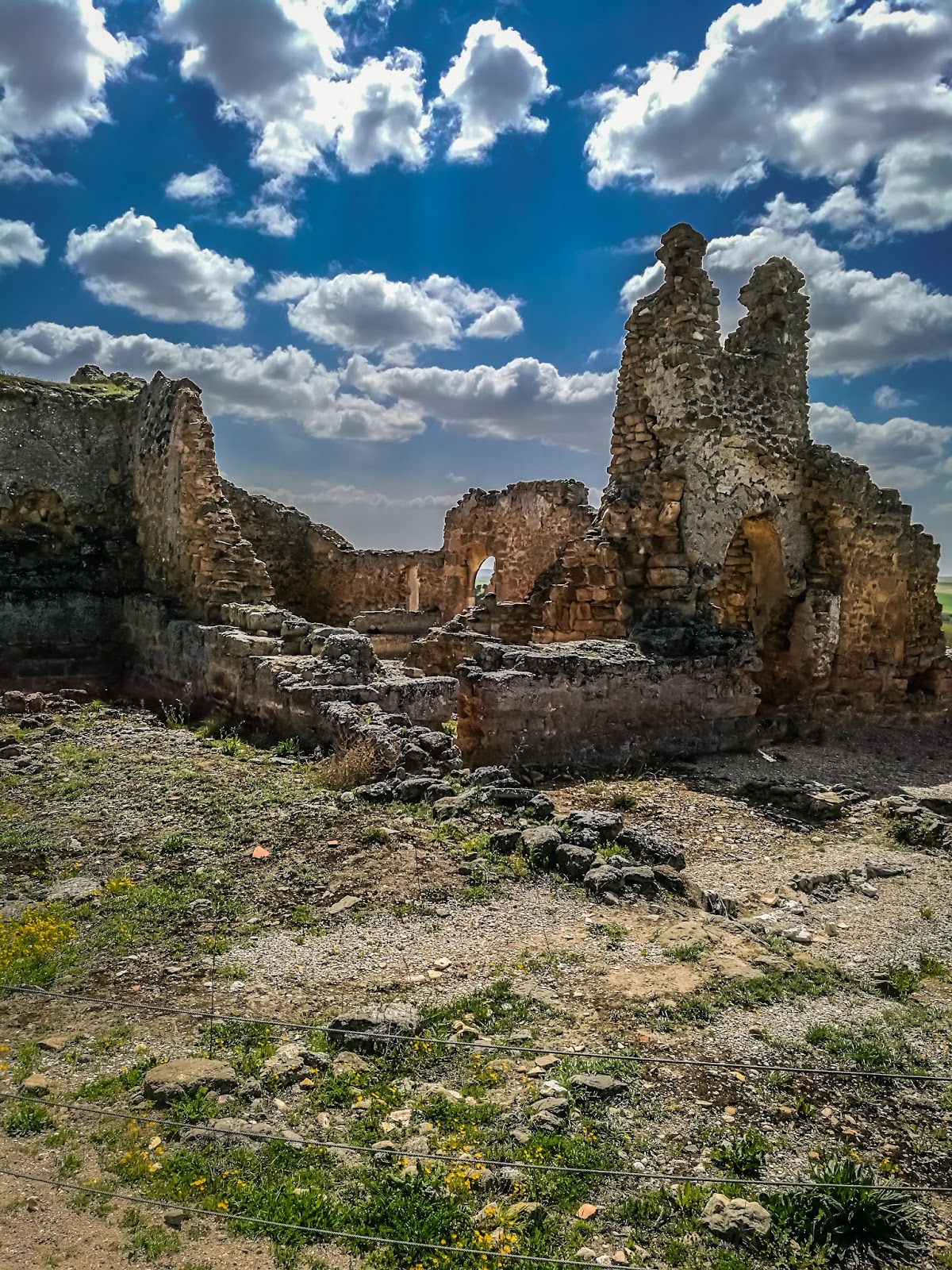 Foto de Ruinas de Recópolis en Guadalajara