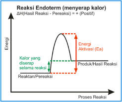 Yuk Kita Pahami Termokimia Itu Seperti Apa Belajar Kimia