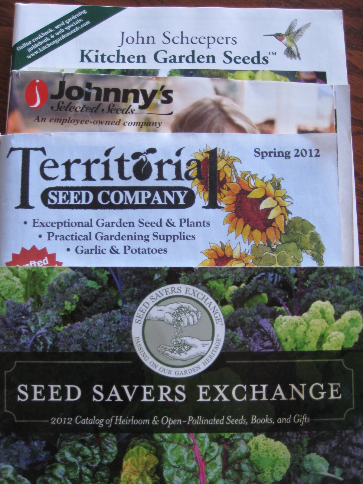 Red Bucket Farm Safe Seed Pledge