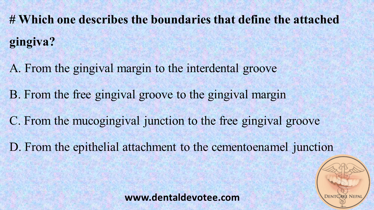 Dentosphere World of Dentistry Boundary of attached gingiva
