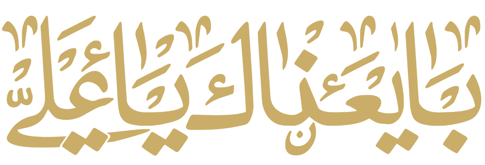 أجمل خلفيات للمونتاج كروما خضراء خلفيات فيديو مخطوطات ولائية مفرغة تصاميم مخطوطات ولائيه مخطوطة يا علي مخطوطة بايعناك يا علي مخطوطات عيد الغدير من كنت مولاه فهذا عليا مولاه