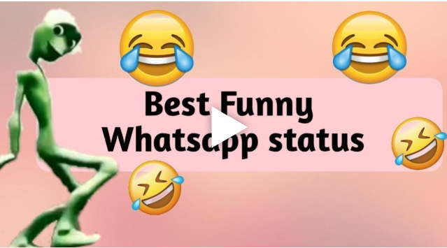 status video funny