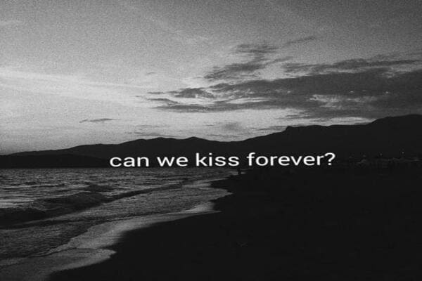 Lirik Lagu Can We Kiss Forever Kina Feat Adriana Proenza Dan Terjemahan