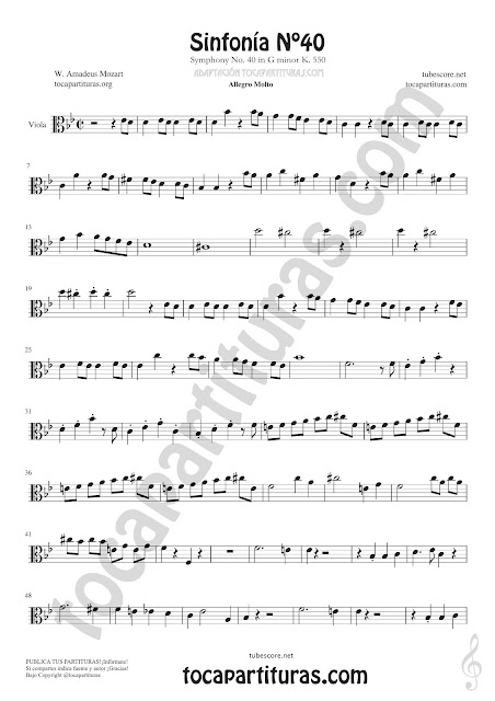  Symphony Nº40 by Mozart Sheet Music for Viola Tabs Music Scores 