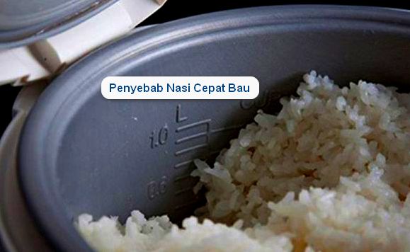 Servis Magic Com Nasi Bau Kurang Panas Youtube