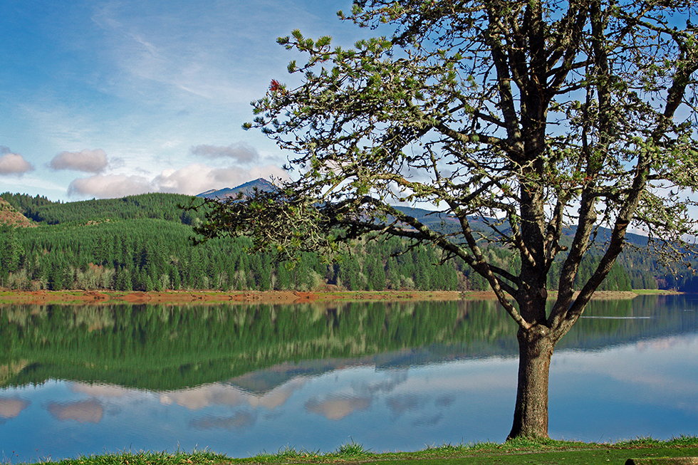Photographing Oregon Foster Lake